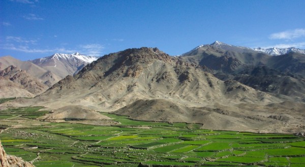 Ladakh-2